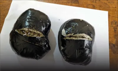 Rose Hill : la Special Striking Team saisit un pistolet et de la drogue de synthèse