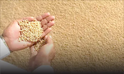 Cherté de la vie : l’insécurité alimentaire guette les foyers démunis