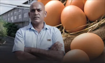 Starponte : les œufs de table des petits éleveurs