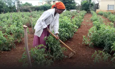 Sécurité alimentaire : la stratégie et les investissements de l’Agro-industrie décriés