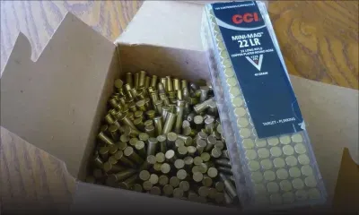 Importation illégale de munitions : jugé coupable, il réclame la réouverture de son procès