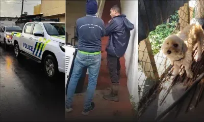 Maltraitance animale : la MSAW serre la vis face aux nombreuses plaintes