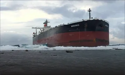 Wakashio : l’étude de l’impact du naufrage sur les récifs démarre