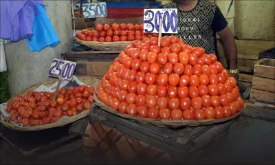 Mercuriales : la pomme d’amour à Rs 30 le demi-kilo