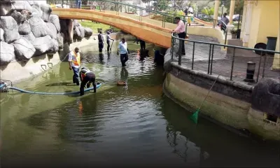 Bonne nouvelle : nettoyage du bassin du Lake Point