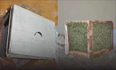Trafic de cannabis: Rs 225 000 de drogue interceptée à la poste