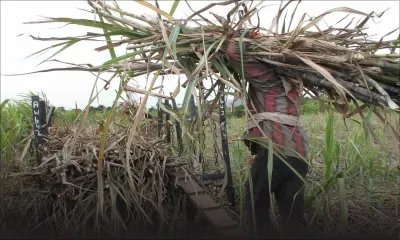 Patrimoine foncier: Le GM a pris possession de 761 arpents de terre de la MSPA