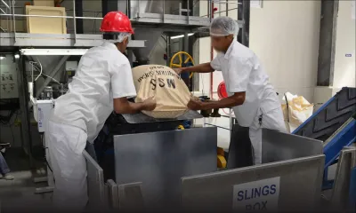 Sur le marché international : le prix du sucre pourrait replonger en 2018