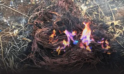 Vol à l’entrepôt du CEB à L’Avenir : trois suspects arrêtés par la CID de Moka