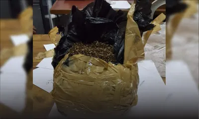 L’Adsu trouve 1,4 kg de drogue synthétique sur un terrain boisé à Péreybère