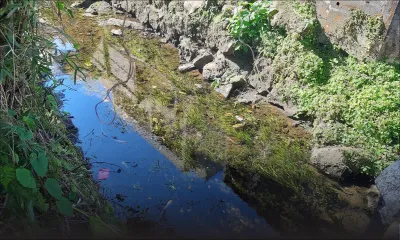 À Curepipe : déversement d’eaux usées dans une rivière