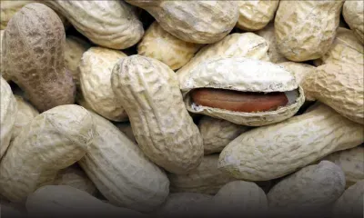 Il fait griller ses pistaches: la fumée de bois irrite les voisins