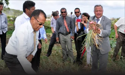 Une récolte de 400 tonnes d’oignons attendue à La Chaumière