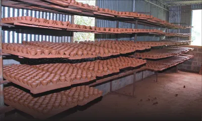 Divali : entre guirlandes et lampes de terre