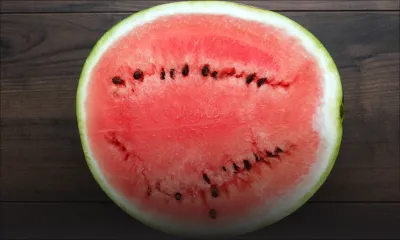 Fruits saisonniers - Melon d’eau : hausse de 25 % de la production