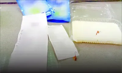 Un yaourt au… cafard