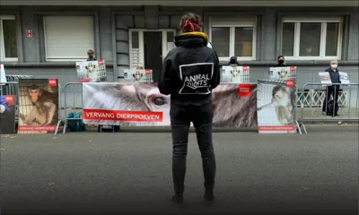 Manifestation à Bruxelles contre l’exportation de singes depuis Maurice