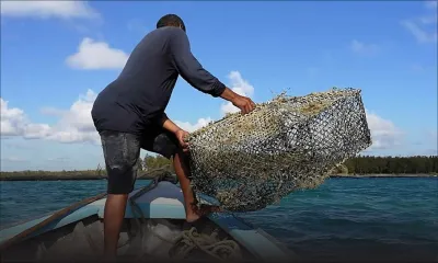 Impact de la Covid-19 et du MV Wakashio : certaines familles ont accusé une baisse jusqu'à 70 % sur les salaires