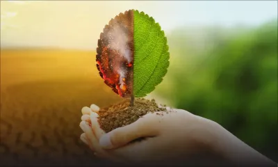 COP 26 : quel est l’enjeu pour Maurice ? 