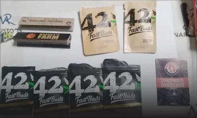 Possession de graines et  de plants de cannabis : une Lituanienne de 49 ans devant la justice