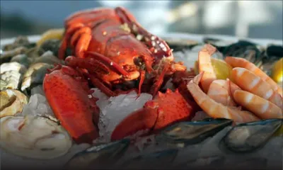 Fruits de mer : les prix ne baisseront pas cet été