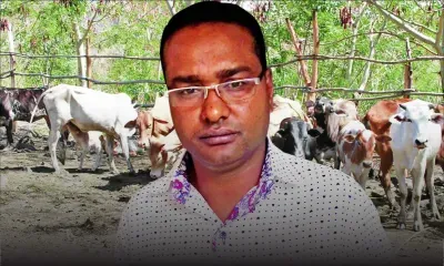 Interdiction d’importer du bétail : un propriétaire de boeufs à Rodrigues réclame des explications