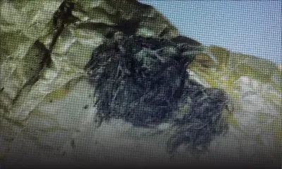 À l’aéroport : un Graphic Designer arrêté avec du LSD et de la drogue synthétique