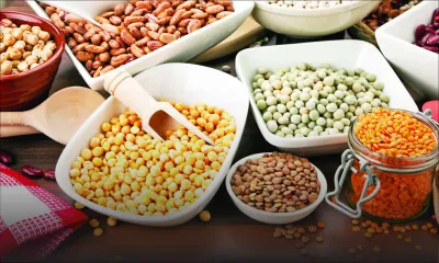 Le prix des grains secs prend l’ascenseur