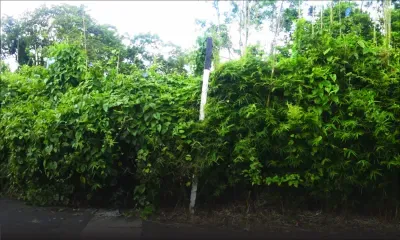 À Curepipe : une signalétique défectueuse