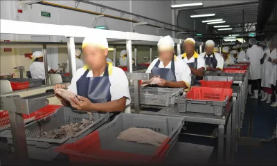 Remboursement de la compensation salariale : des entreprises en difficulté prennent leur mal en patience