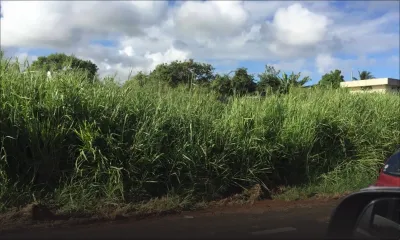 Terrains en friche : 200 propriétaires sanctionnés
