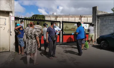 Livraison des graines aux planteurs ce lundi