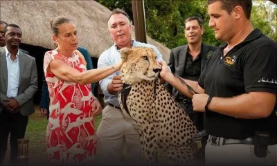 Pour non-respect de contrat : Stéphanie de Monaco poursuit un concessionnaire automobile