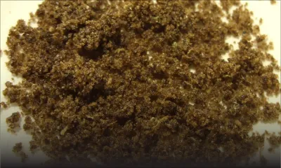 Dans sa cellule: tentative de suicide du meurtrier présumé de Vidhi Bumma