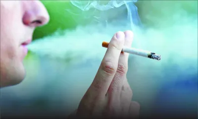 Journée mondiale sans tabac : quand le bien de la famille s’évanouit en fumée