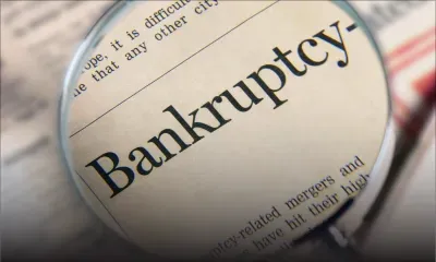 Liquidation of companies : should directors be disqualified? 