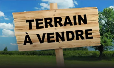 Terrains : les 5 raisons pourquoi les ventes stagnent