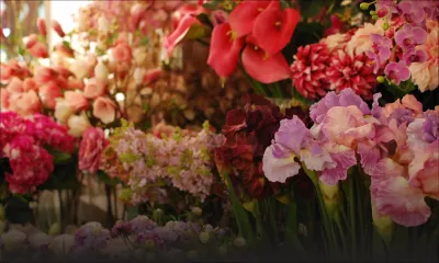 La vente des fleurs artificielles régresse