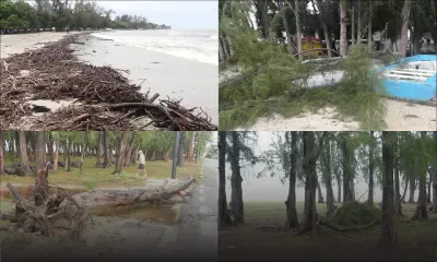 [En images] Post-Calvinia - Sur les plages : plusieurs chutes d’arbres recensées