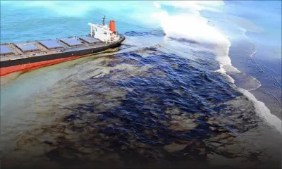 MV Wakashio : l'Etat constitue une base de données sur les dégâts