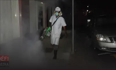 Cinq cas de dengue rapportés à Maurice