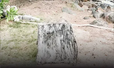 Pas géométriques : l’accès aux plages fait débat 