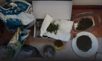 Saisie de Rs 15 M de cannabis dans deux villas à Rivière-Noire : un militaire irakien parmi les trois suspects
