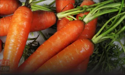 À La Marie, Vacoas : il se fait cueillir après le vol de 700 kg de carottes