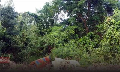 Maisons/ terrains abandonnés : quelle solution ?