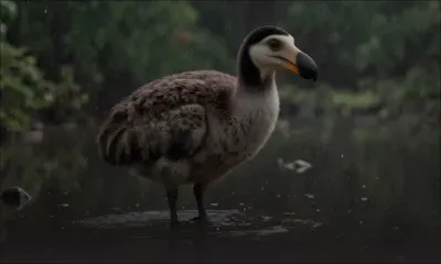 Colossal Biosciences et le projet du dodo : de la science-fiction à la réalité