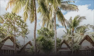 Hôtellerie : SUN renoue avec la profitabilité au dernier trimestre 