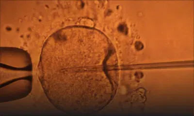 Canada : un médecin aurait inséminé 51 patientes avec son propre sperme