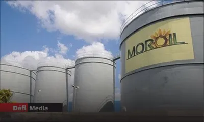 Consommation : Moroil double ses profits