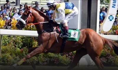 Dopage du cheval Aspara : le palefrenier de l’écurie Rousset participe à une reconstitution des faits